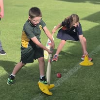 Cricket